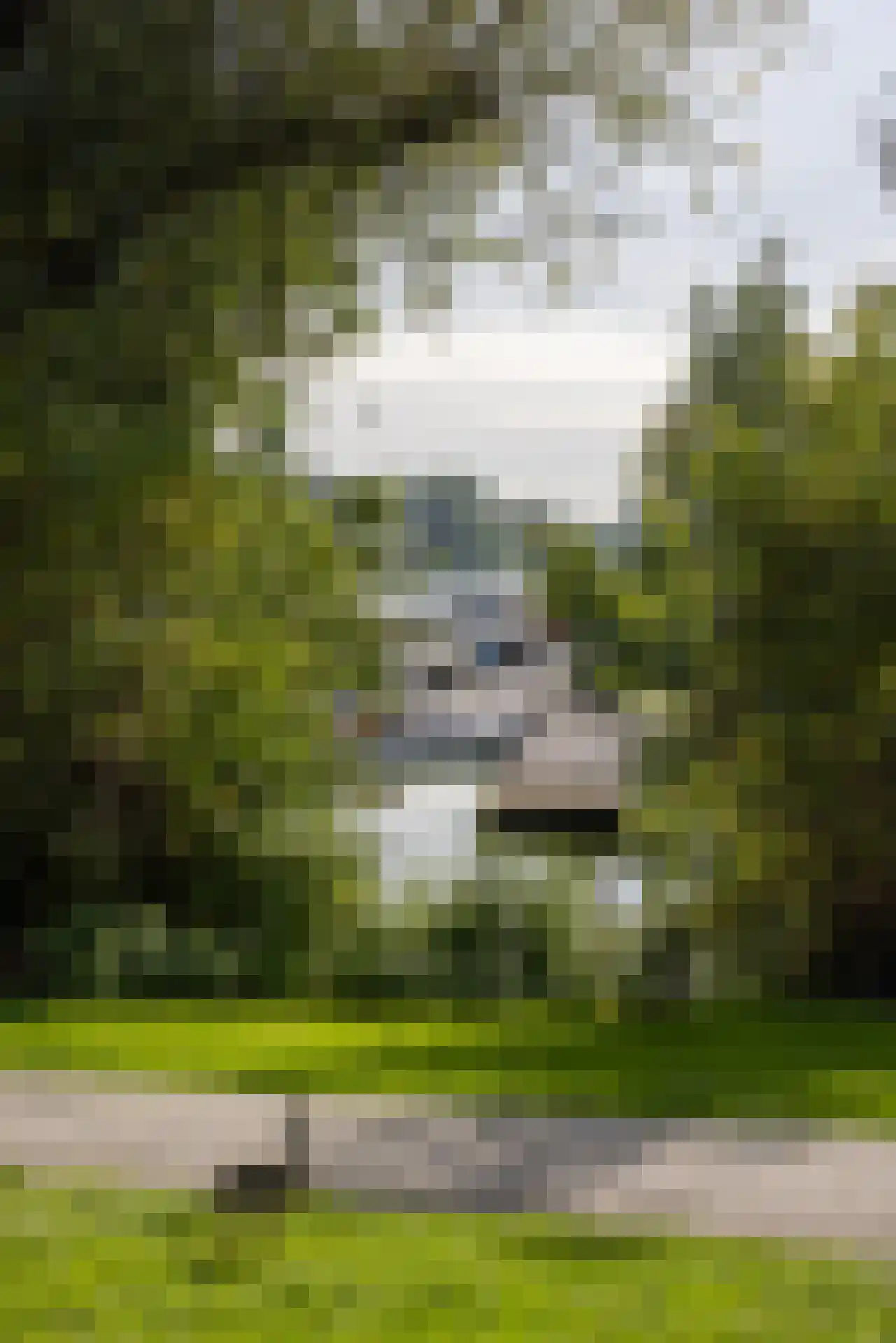 Freericksplaats 41 Rotterdam thumbnail 37