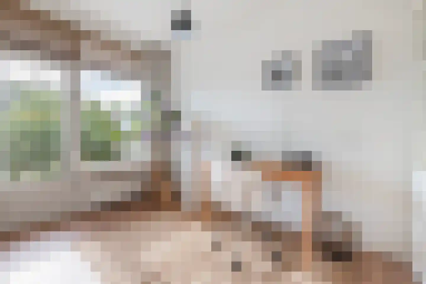 Freericksplaats 53 Rotterdam thumbnail 12