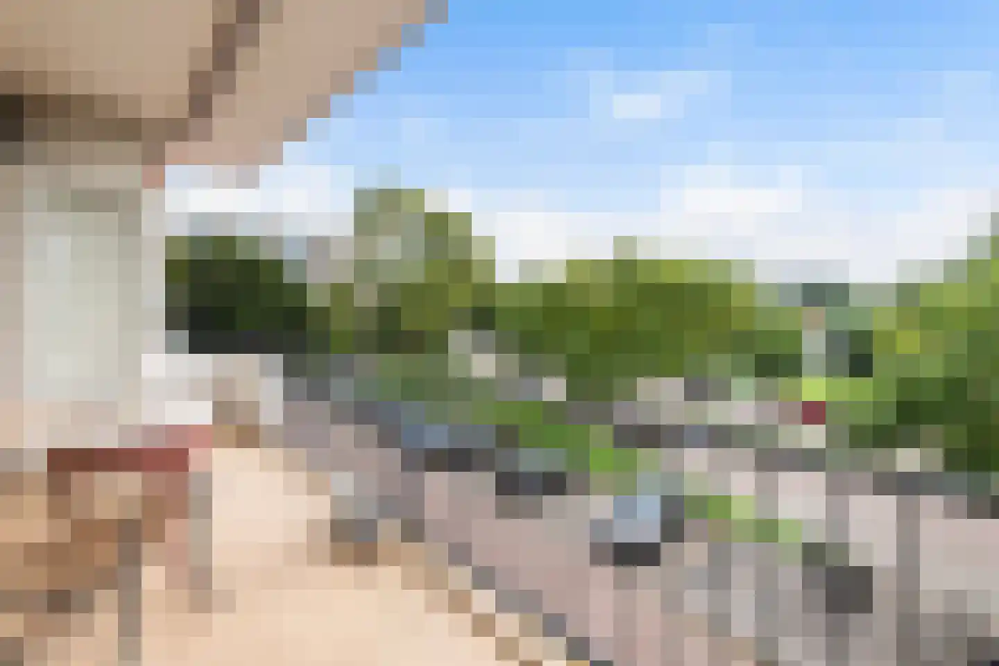 Freericksplaats 53 Rotterdam thumbnail 14