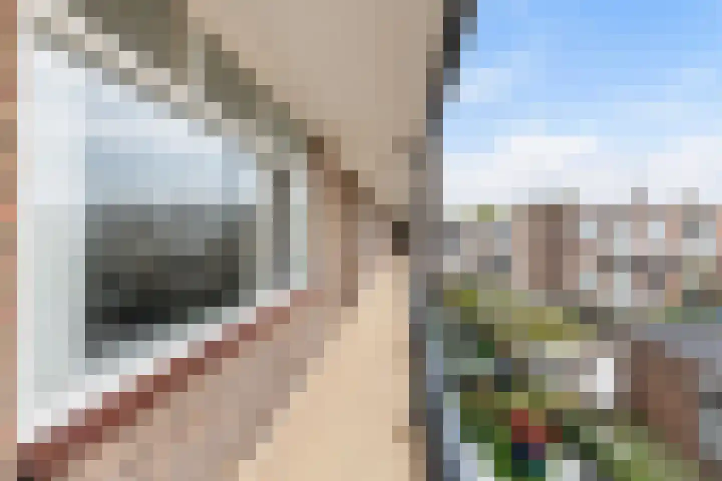 Freericksplaats 53 Rotterdam thumbnail 6