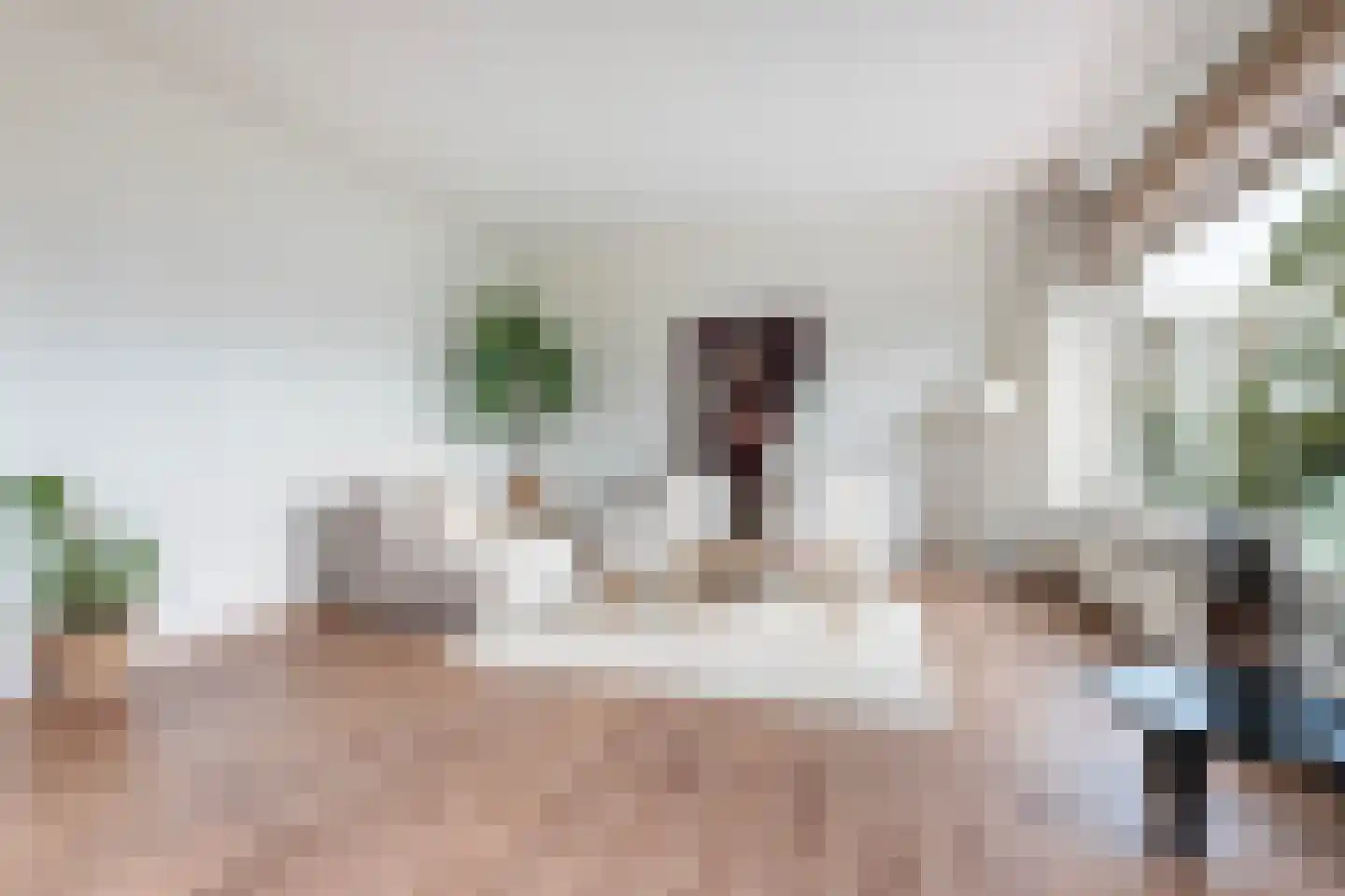 Freericksplaats 53 Rotterdam thumbnail 8
