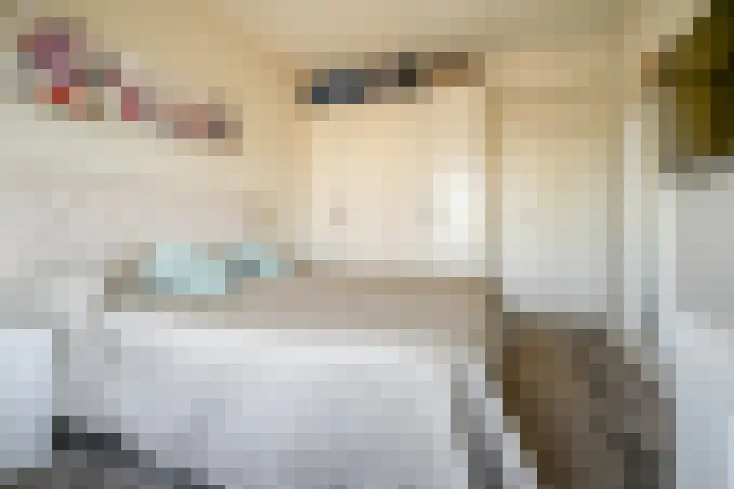 Freericksplaats 67 Rotterdam thumbnail 18