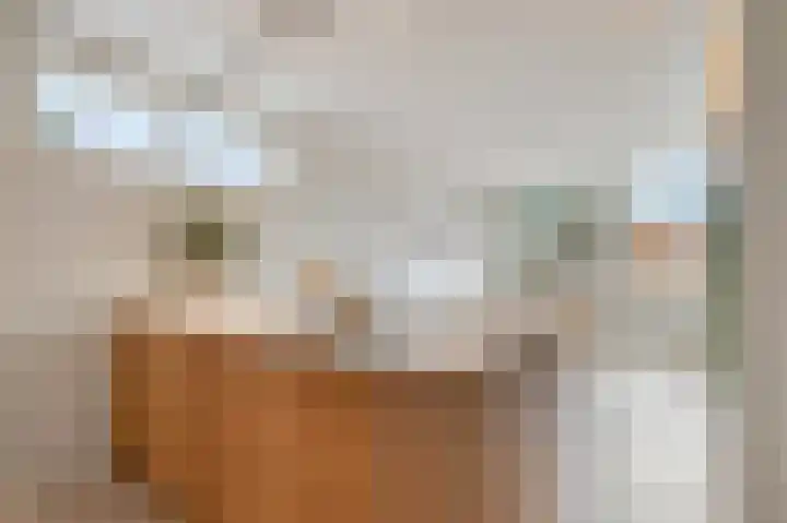 Frees 1 Huissen thumbnail 18