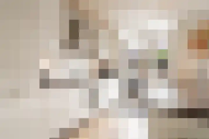 Frees 1 Huissen thumbnail 21