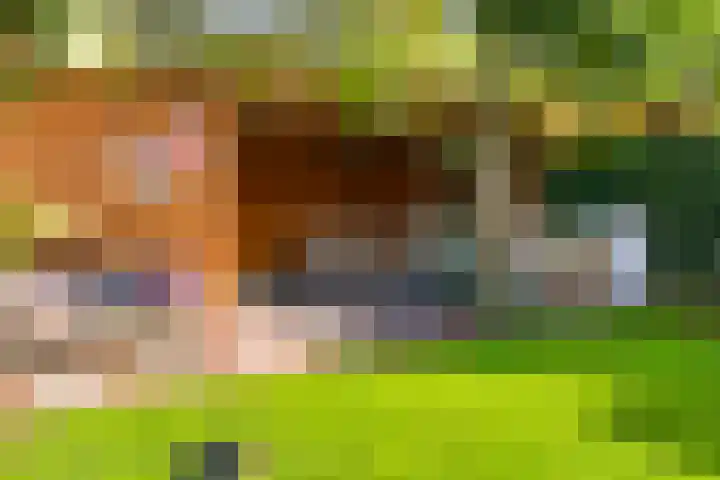 Frees 1 Huissen thumbnail 22