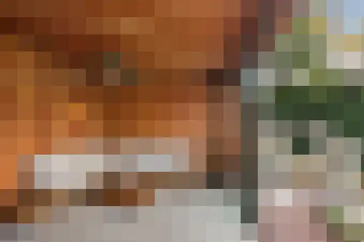 Frees 1 Huissen thumbnail 25