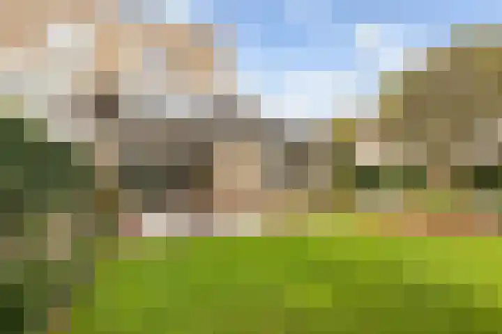 Frees 1 Huissen thumbnail 27
