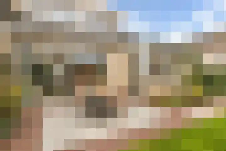 Frees 1 Huissen thumbnail 28