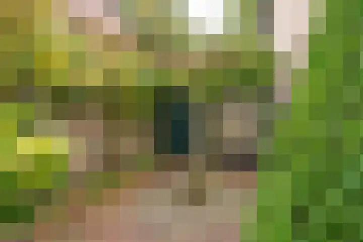 Frees 1 Huissen thumbnail 32