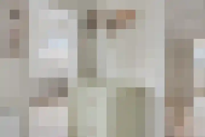 Frees 1 Huissen thumbnail 36