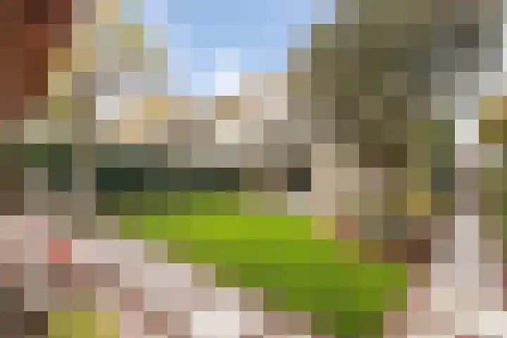 Frees 1 Huissen thumbnail 4
