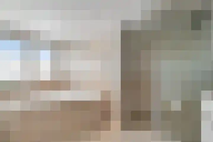 Frees 1 Huissen thumbnail 40