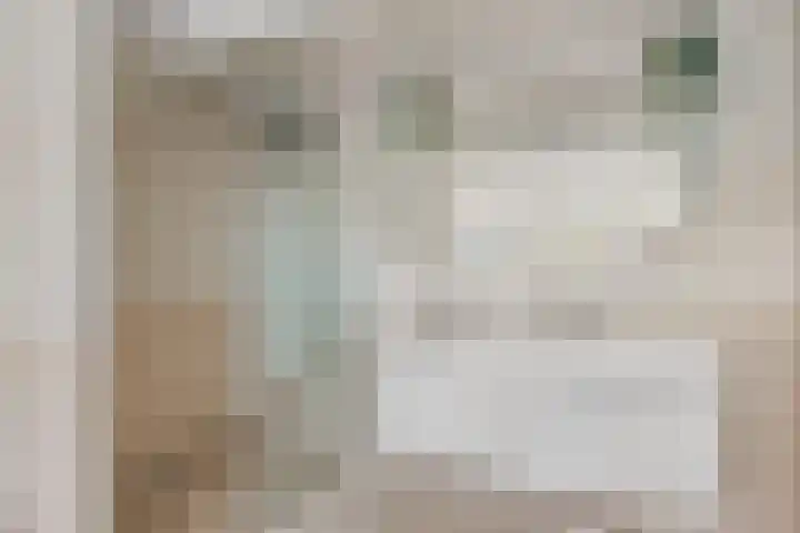 Frees 1 Huissen thumbnail 41