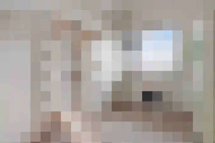 Frees 1 Huissen thumbnail 49