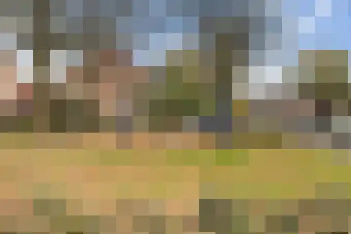 Frees 1 Huissen thumbnail 51