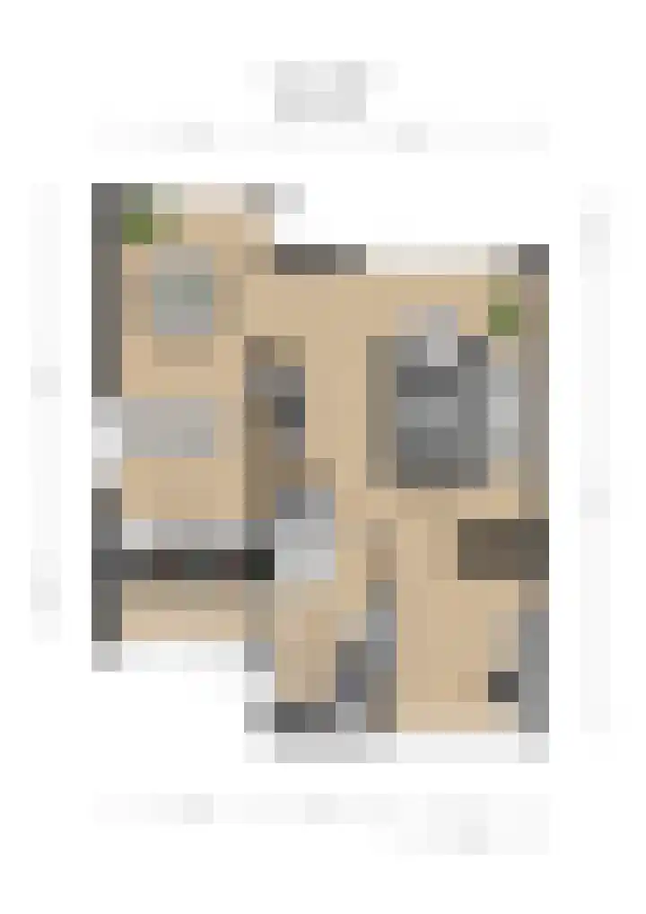Frees 1 Huissen thumbnail 52