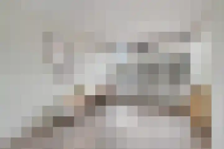 Frees 1 Huissen thumbnail 6