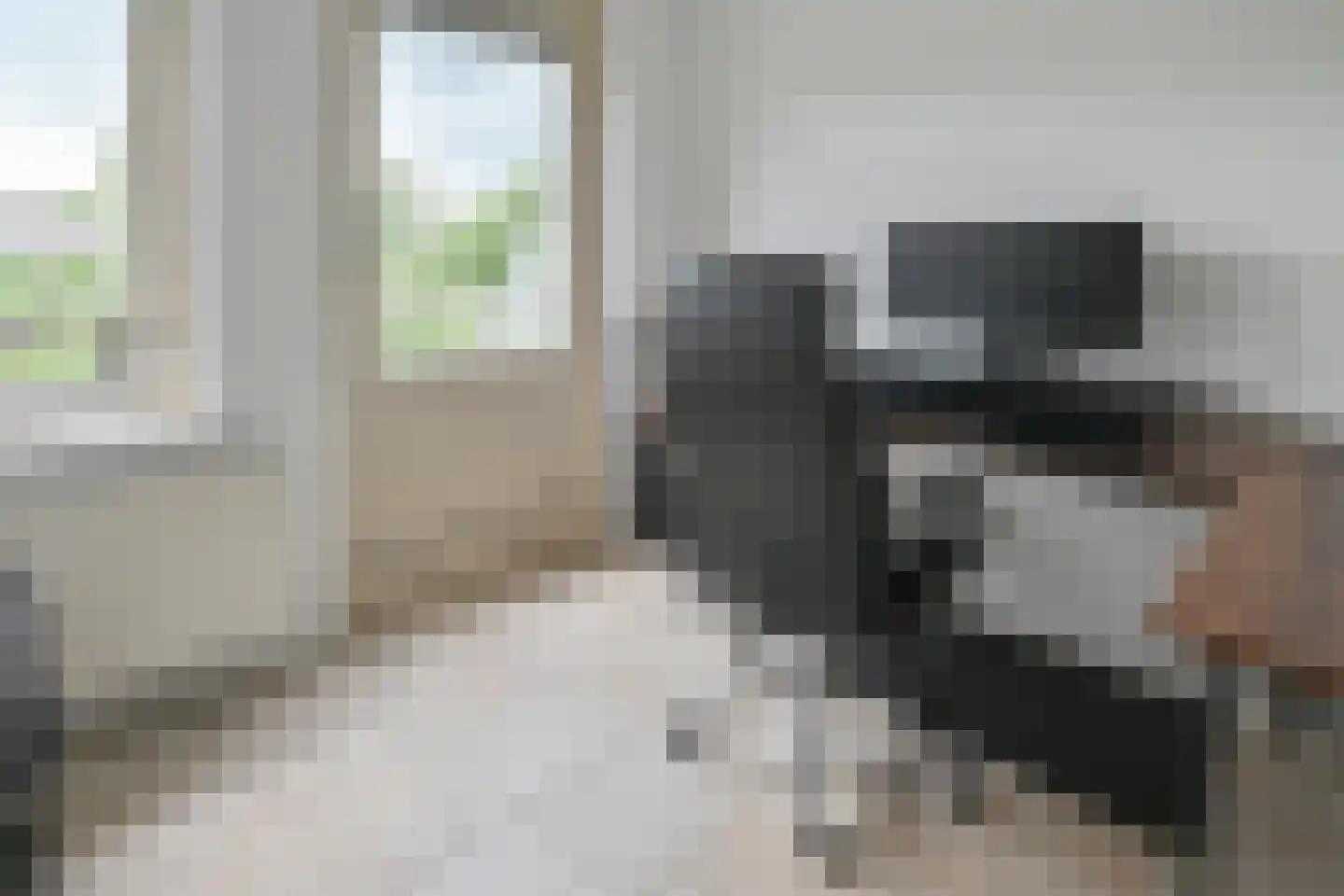 Frees 31 Uithoorn thumbnail 20