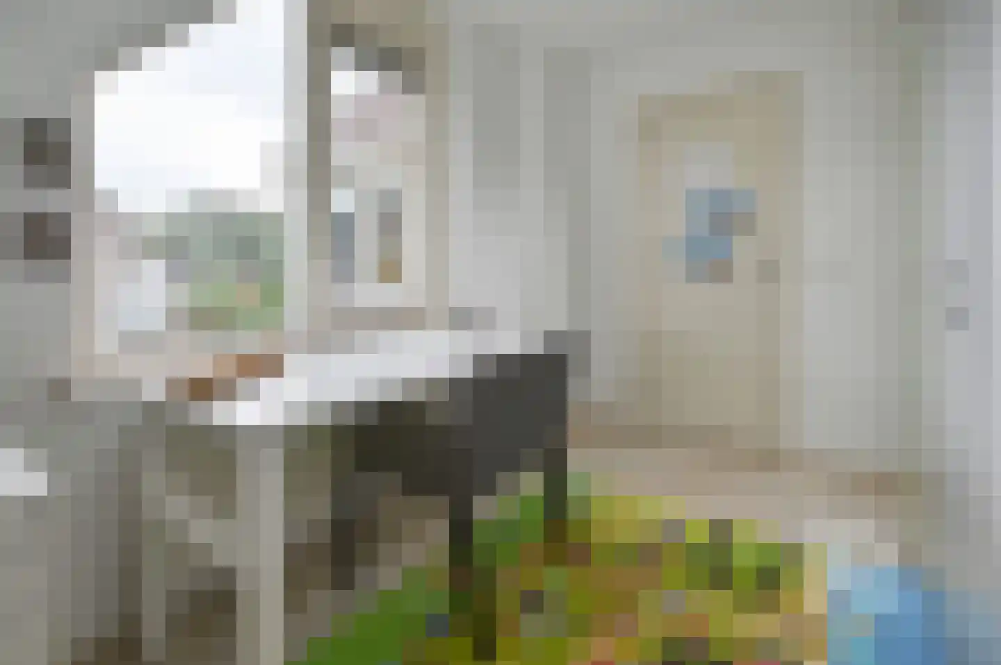 Frees 31 Uithoorn thumbnail 23
