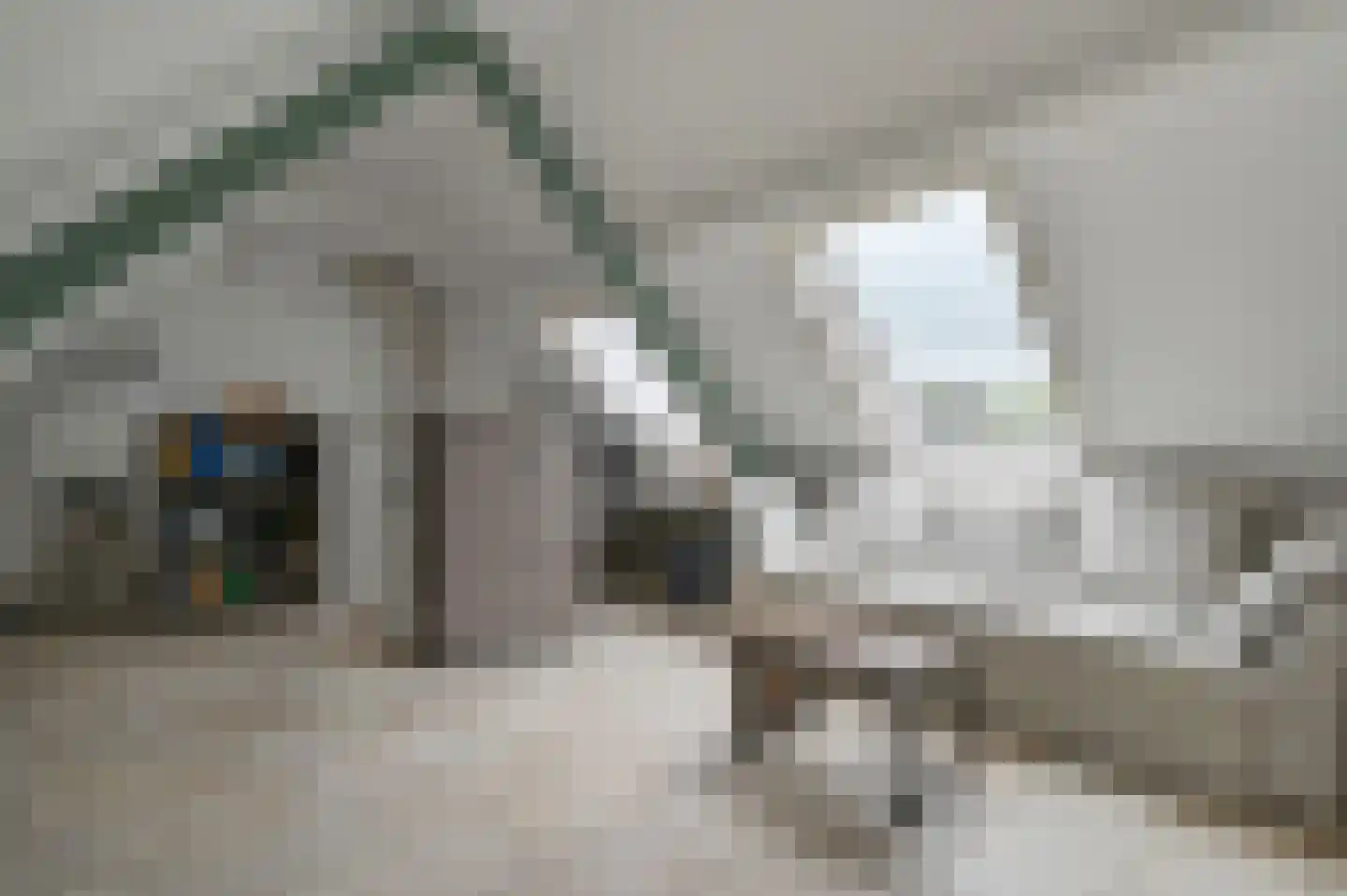 Frees 31 Uithoorn thumbnail 26