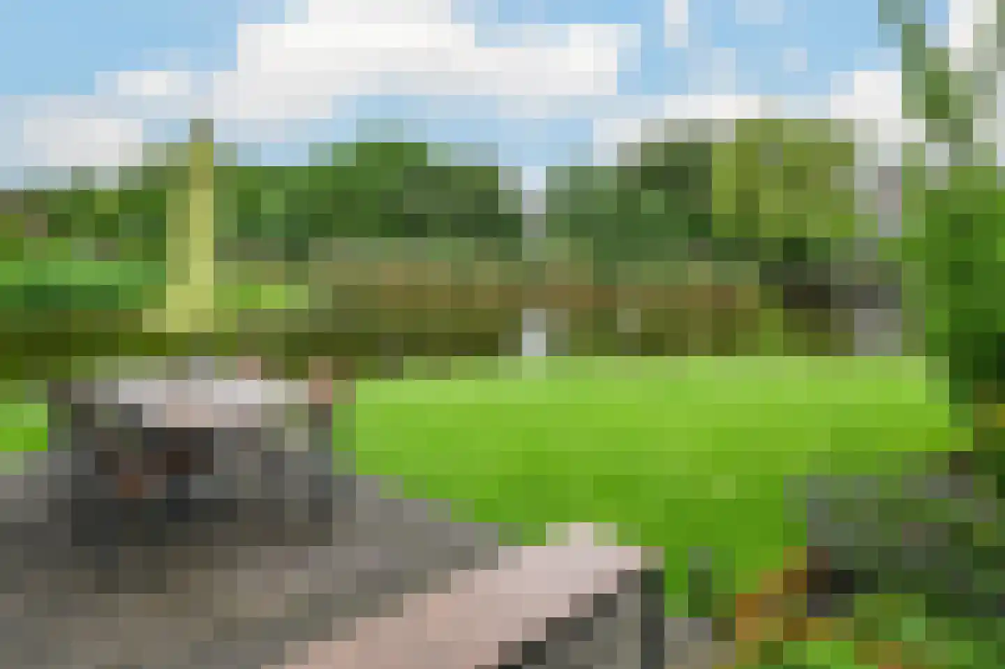 Frees 31 Uithoorn thumbnail 31