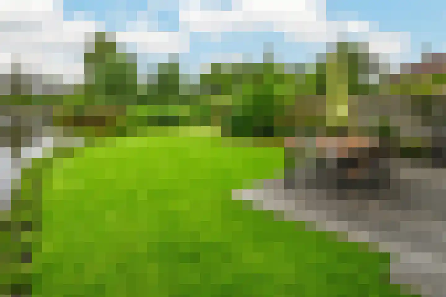 Frees 31 Uithoorn thumbnail 40