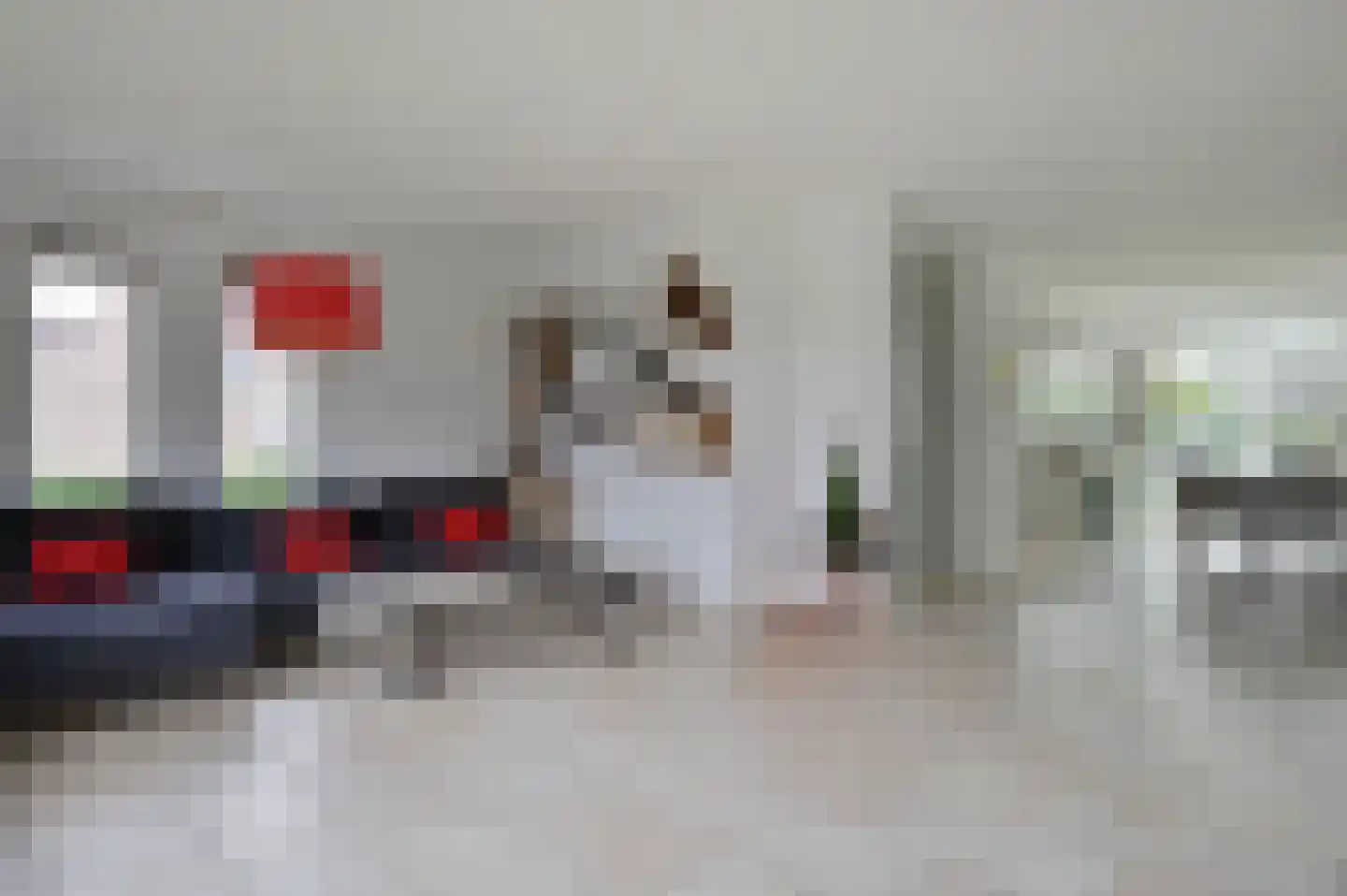 Frees 31 Uithoorn thumbnail 6