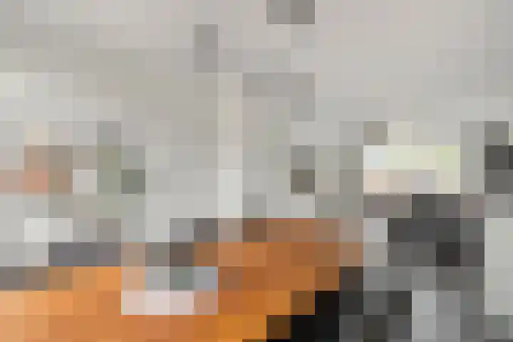Frees 9 Huissen thumbnail 10
