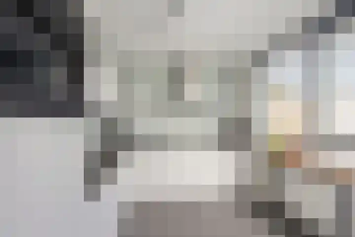 Frees 9 Huissen thumbnail 12