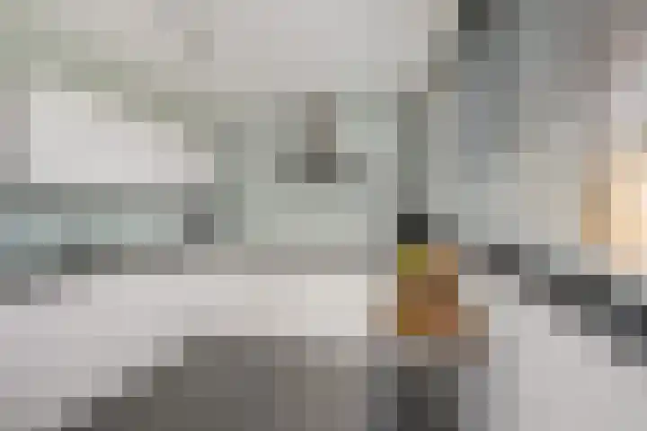 Frees 9 Huissen thumbnail 13