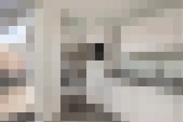 Frees 9 Huissen thumbnail 14