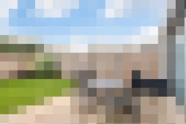 Frees 9 Huissen thumbnail 16