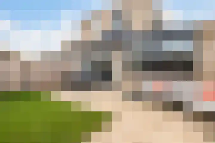 Frees 9 Huissen thumbnail 18