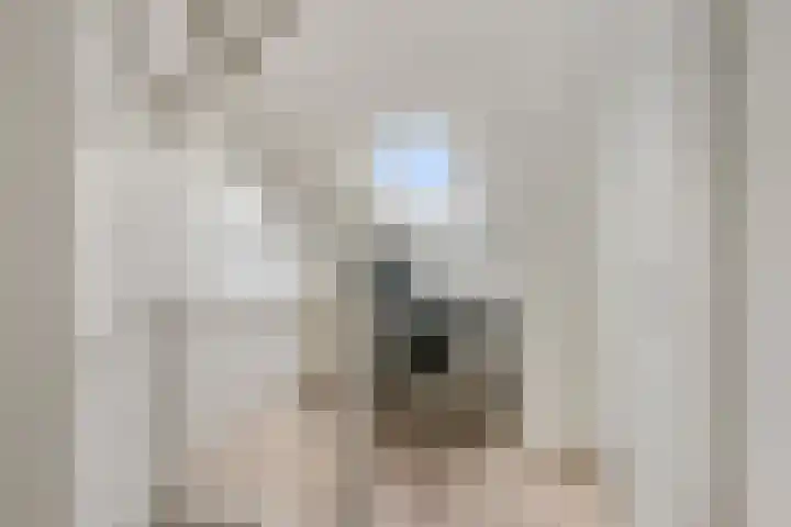 Frees 9 Huissen thumbnail 20