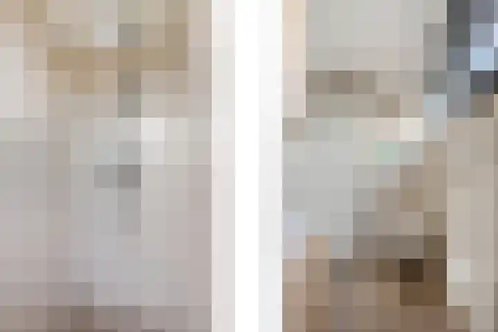 Frees 9 Huissen thumbnail 24