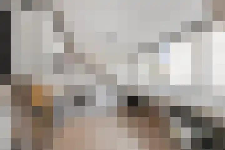 Frees 9 Huissen thumbnail 25