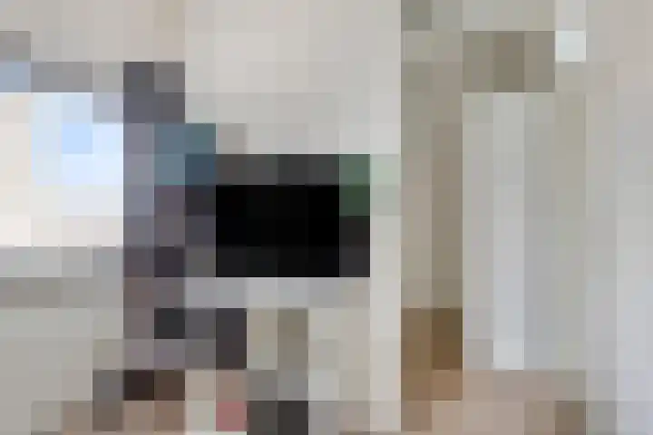 Frees 9 Huissen thumbnail 28