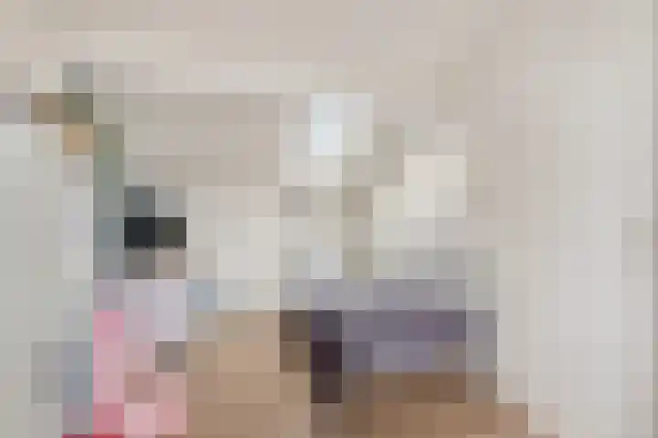 Frees 9 Huissen thumbnail 29