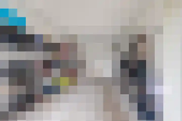Frees 9 Huissen thumbnail 32