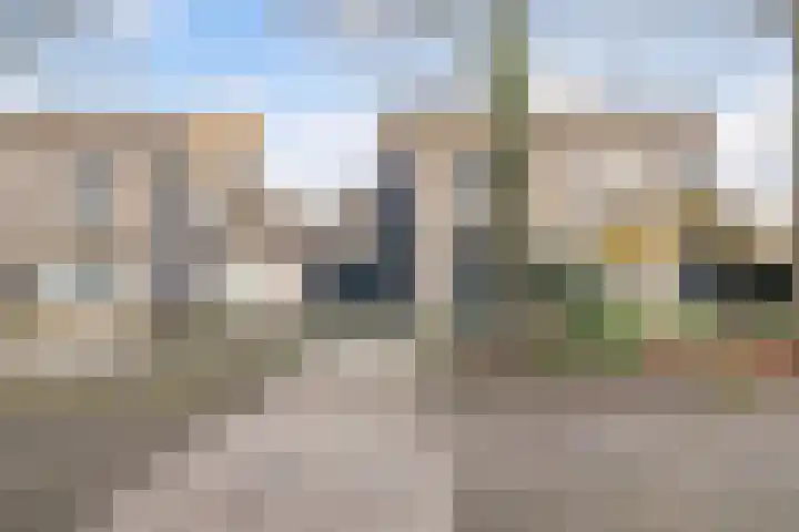 Frees 9 Huissen thumbnail 4