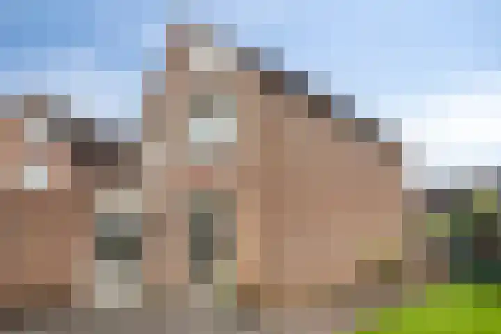 Freesiaberg 28 Roosendaal thumbnail 34