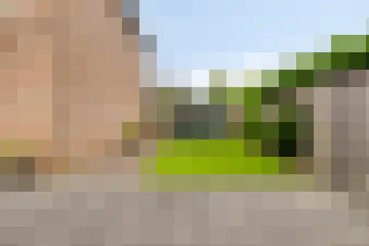 Freesiaberg 28 Roosendaal thumbnail 38