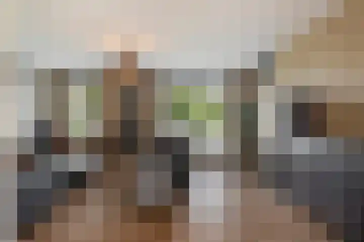 Freesiaberg 28 Roosendaal thumbnail 4