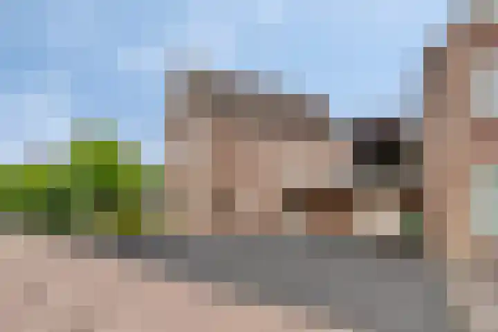 Freesiaberg 28 Roosendaal thumbnail 43