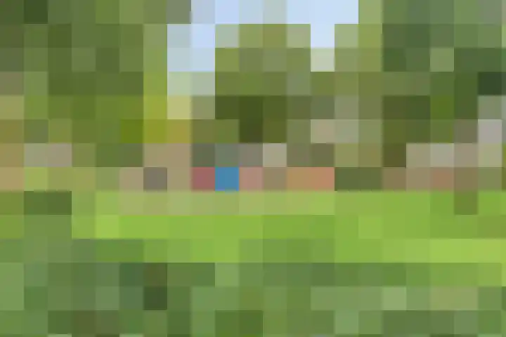 Freesiaberg 28 Roosendaal thumbnail 45