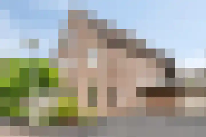 Freesiaberg 28 Roosendaal thumbnail 52