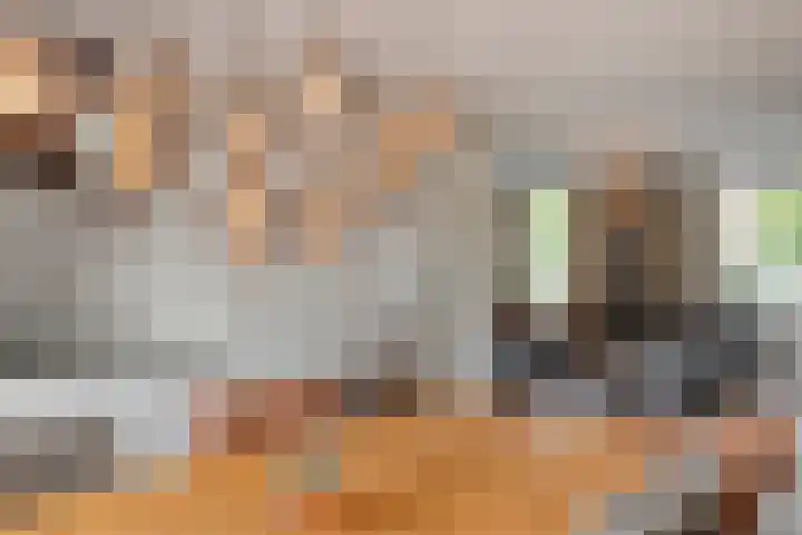 Freesiaberg 28 Roosendaal thumbnail 9