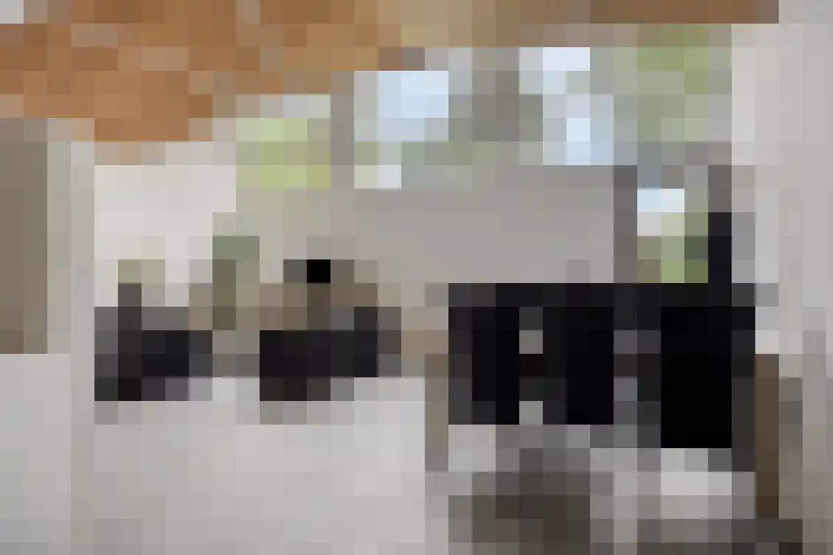 Freesiaberg 29 Roosendaal thumbnail 6