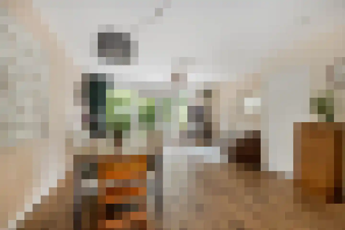 Freesiadal 22 Leiden thumbnail 12
