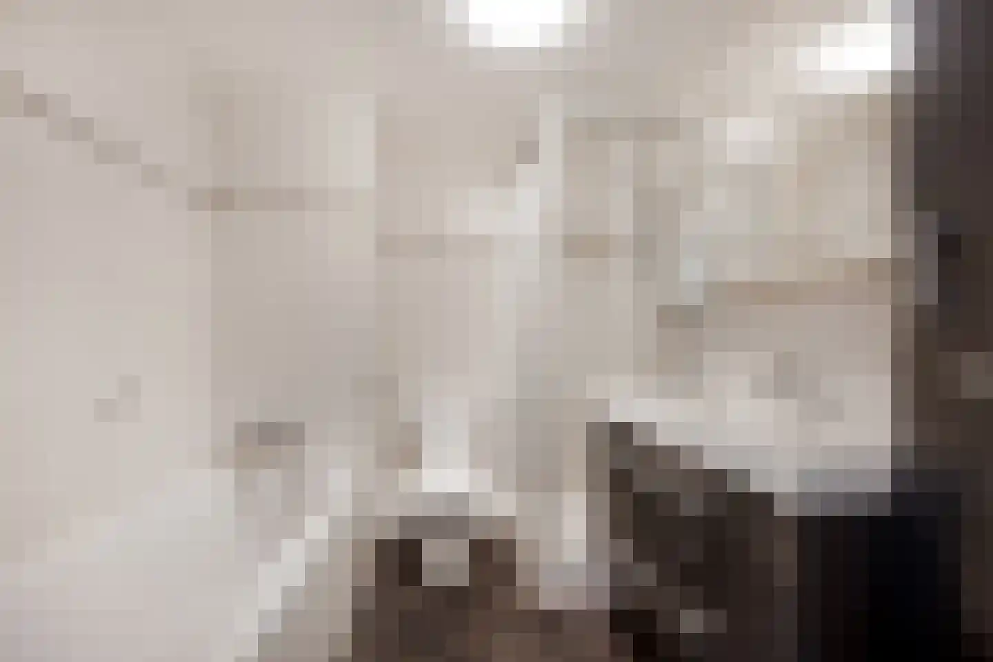 Freesiadal 22 Leiden thumbnail 19
